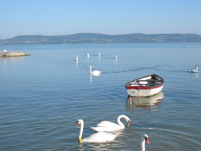 unser Boot steht zur Verfügung
