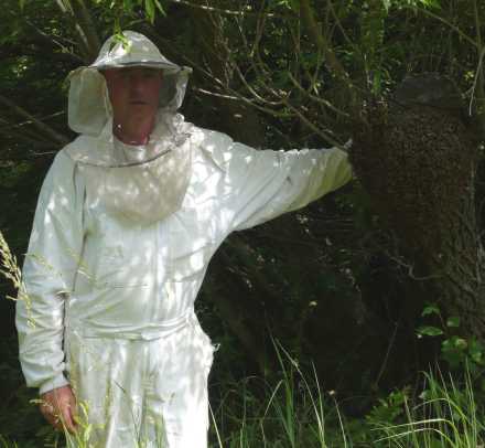Unsere fleisigen Bienen
